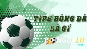 Tips bóng đá là gì? Thông tin cơ bản về tips bóng đá