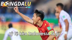 Tỷ lệ kèo Indonesia (hay Odds Indo)