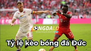 Các Tỷ Lệ Kèo Bóng Đá Đức