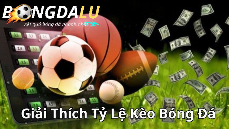 Tỷ lệ kèo bóng đá là gì? giải thích các tỷ lệ kèo phổ biến hiện nay Tỷ lệ kèo bóng đá là gì? giải thích các tỷ lệ kèo phổ biến hiện nay